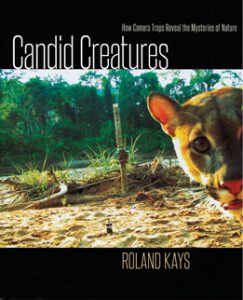 candid_creatures