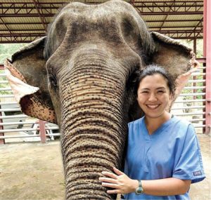 Elvina Yau poses with an elephant she treated.