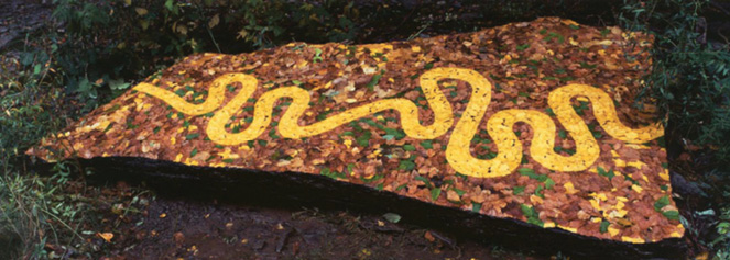 A ribbon of yellow snakes through a fall-colored mosaic