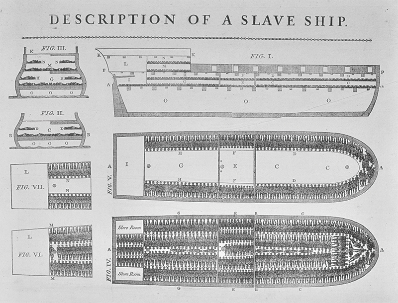 Slave ship layout in Description of a Slave Ship
