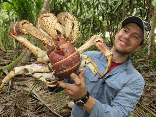 Mark holds a coconut crab