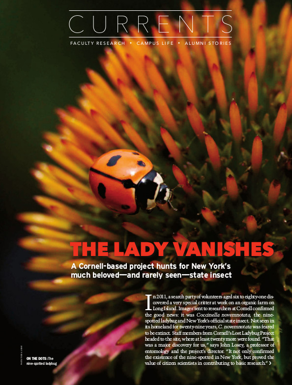 Magazine page image for The Lady Vanishes