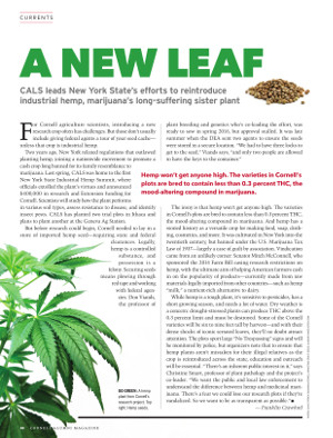 A New Leaf cover page