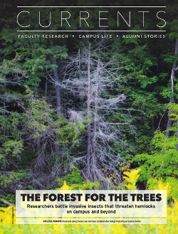 Magazine page image for Forest for the Trees